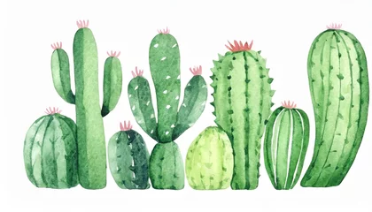 Zelfklevend Fotobehang Cactus 水彩風のサボテン