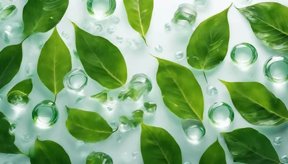 Fotobehang water drops and green leaves background © sadi