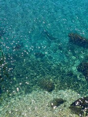 Blue glittering amazing sea water.