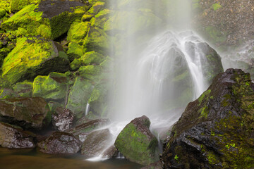 Naklejka na ściany i meble Ponytail Falls, Columbia River Gorge, Oregon, USA