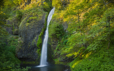 Horsetail Falls, Columbia River Gorge, Oregon, USA