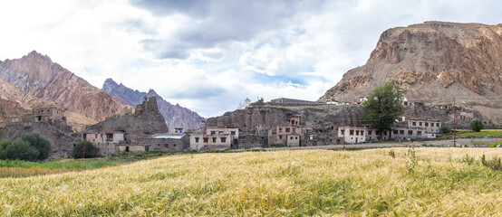 landscape of markha trekking in leh ladakh, india - obrazy, fototapety, plakaty