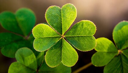 幸せのクローバー