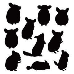 Set of domestic chinchilla pet silhouettes, sleeping, lying, resting, drinking