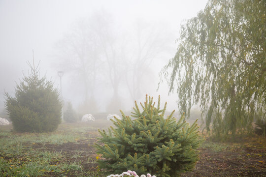 Foggy alley, like in the horror movie Silent Hill
