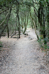 Sentier suite aux gorges du régalon, Lubéron