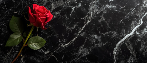 Valentine Background, Red rose on black background, Valentine's day  person holding a romantic gift of love with beautiful flowers ,background banner for website, There is space for entering text