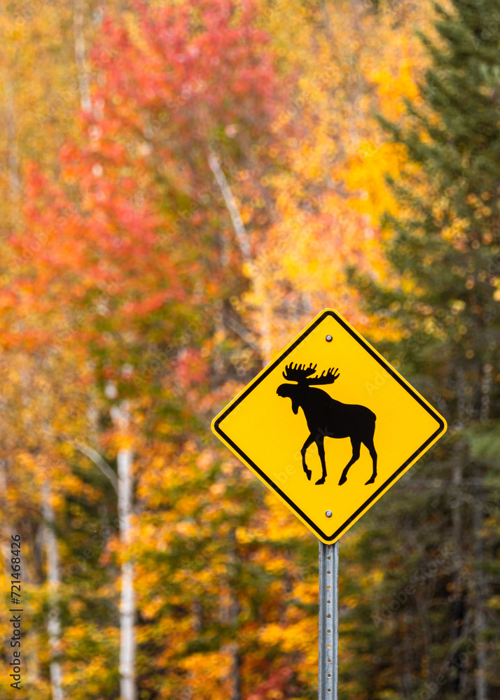 Wall mural Beware of moose road sign in National Park, Quebec, Canada. Watch out for moose. Warning sign on beautiful fall colored trees