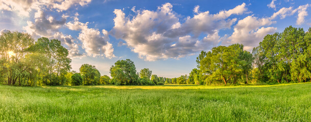 Spring panoramic landscape. Sunset colorful sky with fantasy fluffy clouds over green foliage peaceful field. Tranquil springtime nature. Sunrays warm sunlight natural white wildflowers forest meadow