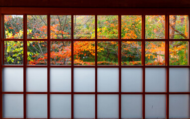 View of colorful maple trees in the courtyard garden behind the sliding glass grid door (Shoji) of...