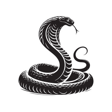 Serpent's Symphony: Cobra Silhouette Series Weaving an Intricate Dance of Shadows and Serpentine Form - Cobra Illustration - Cobra Vector

