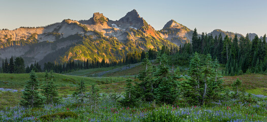 Tatoosh Range von Mazama Ridge, Mt. Rainier National Park, Washington, USA