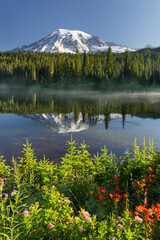 Mt. Rainier, Reflection Lakes, Mt. Rainier National Park, Washington, USA