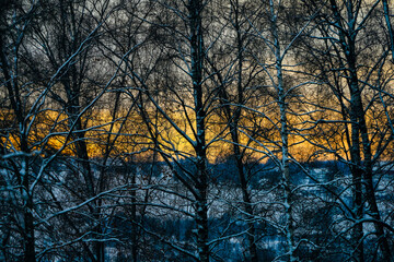 Winter evening sky of Lensbygda, Toten, Norway, behind birch trees.