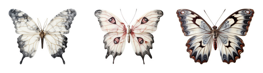 Set of marble sculptured butterfly. Isolated on a transparent background.