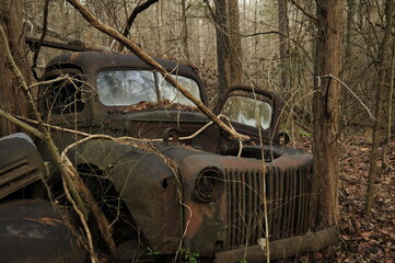 Rusty old truck long forgotten in woods