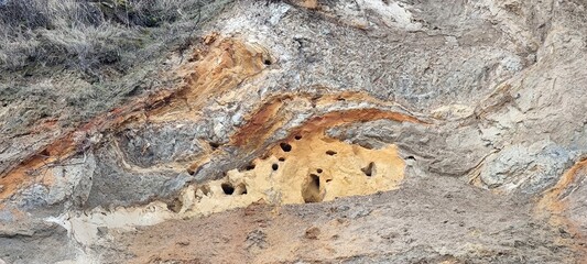 Sandverwerfungen und Bruthöhlen an der Steilküste der Ostsee