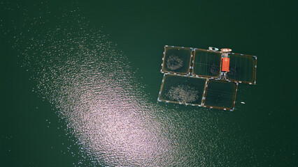 Aerial View of Farm Fishing Nets in chapas, mexico