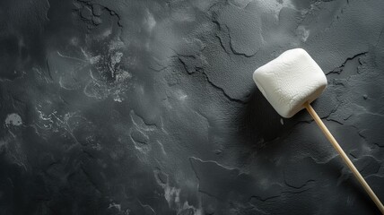 A single toasted marshmallow on a dark textured stone surface, close-up - obrazy, fototapety, plakaty