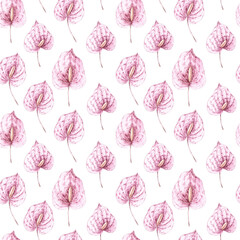 Watercolor pattern with dry athurium flowers in pastel colors in boho style