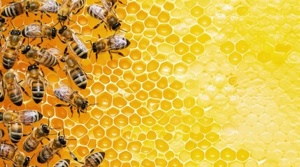 Worker bees tirelessly tend to honey cells, ensuring the hive thrives with their liquid gold. A busy bee collecting pollen, ready to contribute to the honey-making process.