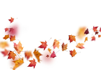 autumn leaves blowing in the wind png overly on white background