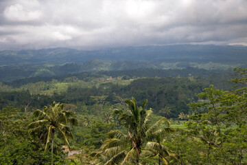 Fototapeta na wymiar Indonesia Java island landscape on a cloudy autumn day