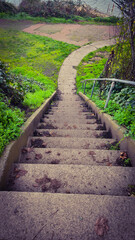  Street stairs. Paths.