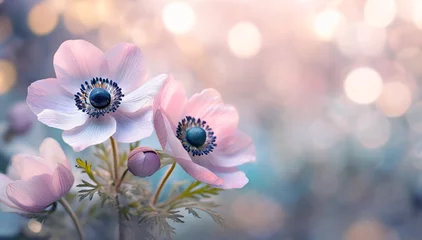 Deurstickers Wiosenne kwiaty pastelowe różowe zawilce, puste miejsce na tekst © Iwona