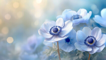 Niebieskie kwiaty anemony, piękne wiosenne kwiaty tapeta. Pastelowy kwiat - obrazy, fototapety, plakaty