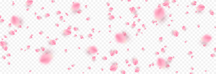 Vector rose petals png. Flying sakura or rose petals. Petals png.