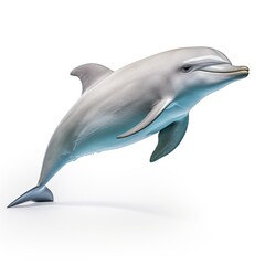 Obraz premium Photo of Irrawaddy Dolphin isolated on white background