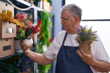 Middle age grey-haired man florist holding plants at florist - obrazy, fototapety, plakaty