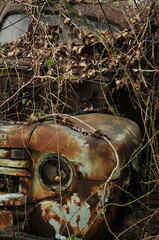 Side  view of long parked old truck in woods