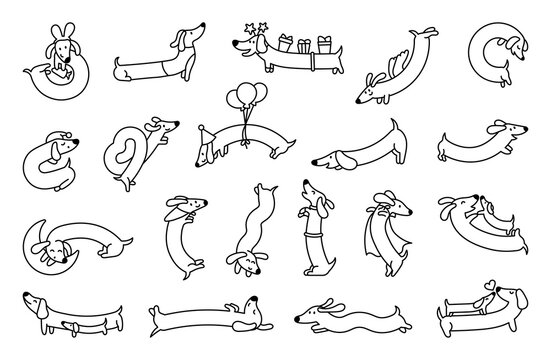 Cute cartoon long dachshund dog. Coloring Page. Puppy wagging tail. Funny pet character. Hand drawn style. Vector drawing. Collection of design elements.
