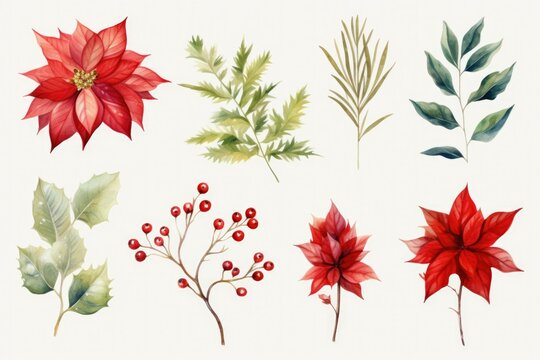 A collection of watercolor Christmas flowers and leaves. Perfect for holiday decorations and festive designs