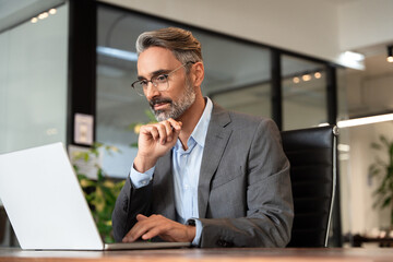 Focused mature European business man ceo trader using computer. Businessman typing, working in...