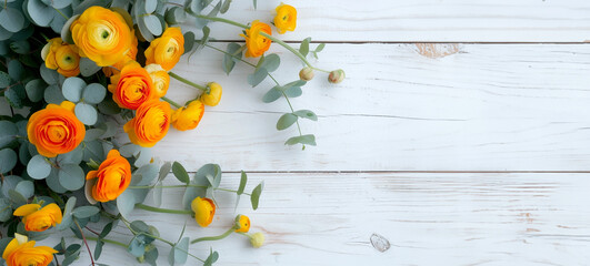 Banner with yellow orange ranunculus and eucalyptus branches on white wooden background