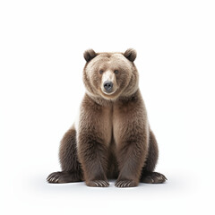 Obraz premium A detailed High quality, portrait image of a bear placed on a white background.