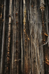 Old weathered wood siding tobacco barn close up