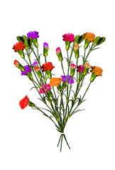 A bouquet of colorful carnation flowers on isolated transparent background