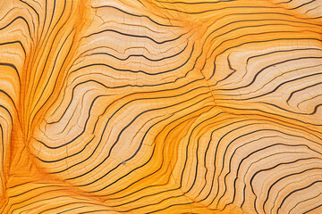Top view of engraved wood grain on a tree trunk , stock photography сreated with Generative Ai