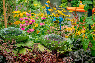Fototapeta na wymiar garden with vegetables and flowers