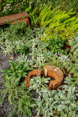 rock garden with different plants