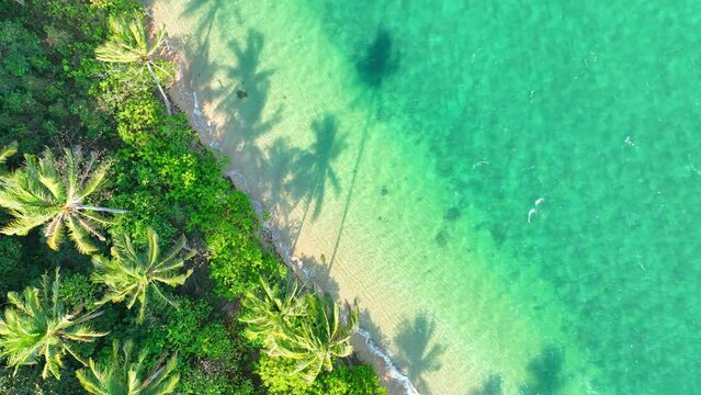 Aerial drone view of a mesmerizing tropical paradise, Clear turquoise waters, sandy beaches, swaying coconut palms. Green travel concept. High-quality video. Ko Chang, Trat Province, Thailand. 4K.
