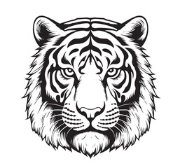 Tiger drawn with ink from the hands of a predator tattoo Vector illustration