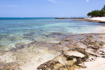 Crédence de cuisine en verre imprimé Plage de Seven Mile, Grand Cayman Grand Cayman Island Seven Mile Beach Rocky Shore