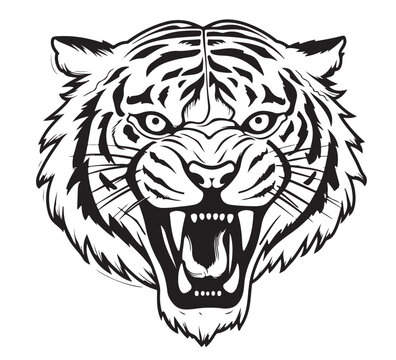 Angry Tiger growling sketch hand drawn in doodle style Vector illustration