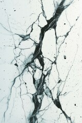 Black and white marble texture with cracks