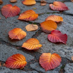 Fototapeta na wymiar Colorful autumn leaves on the ground
